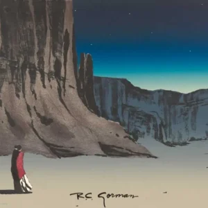 Canyon de Chelly Night