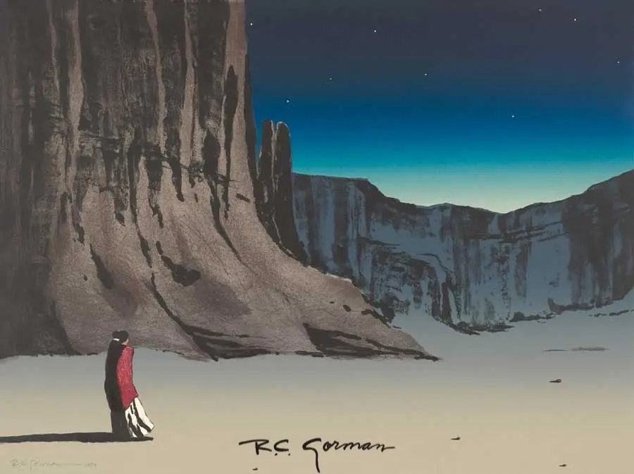 Canyon de Chelly Night