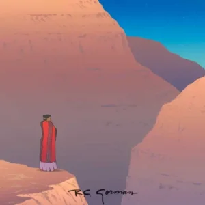 Canyon de Chelly Twilight